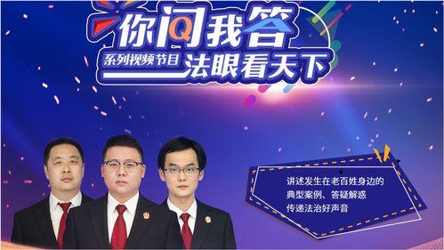 法制节目视频,法律案例背后的故事与启示