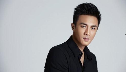 中国男明星都有谁,盘点中国男明星风采