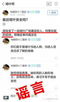 击毙新疆暴徒视频,正义之剑守护和平家园