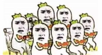 喵星娱乐吃瓜群众,吃瓜群众揭秘娱乐圈幕后真相